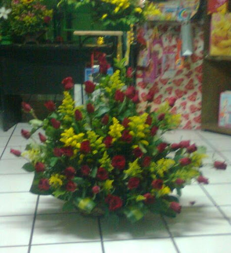 Floreria Sammy - Visual