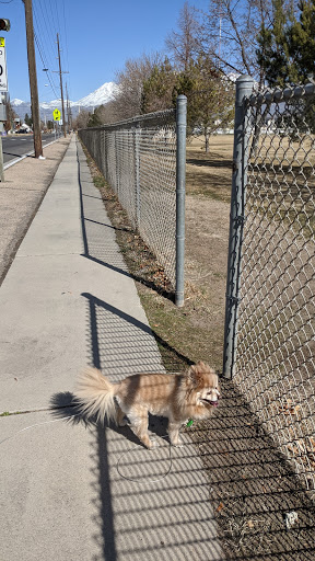 Sunset View Park - Visual