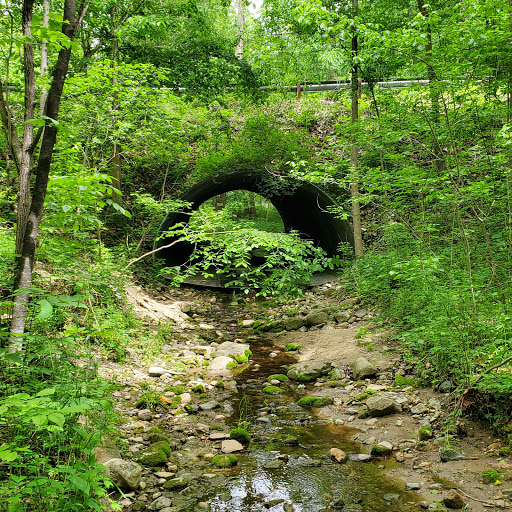 Kokiwanee - ACRES Land Trust - Thumbnail