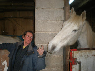 Photo n°24 de Ferme Équestre & Pédagogique de Chantaigut à Ceilloux (Centre équestre)