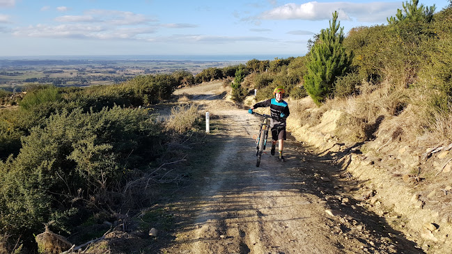 Comentarii opinii despre Basic Bikes Ltd