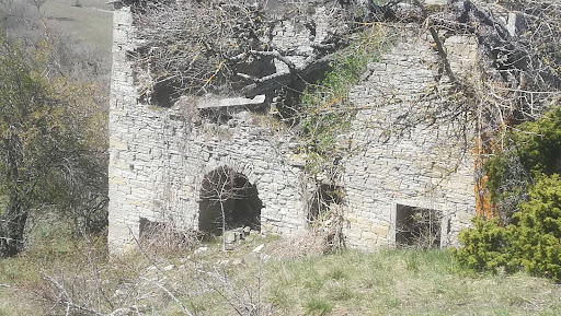 Vesina - Visual