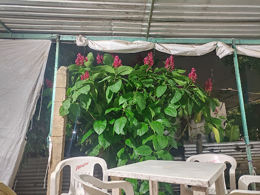 Antojitos "Mago"