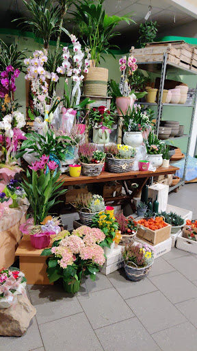 Die Blumenquelle - Thumbnail