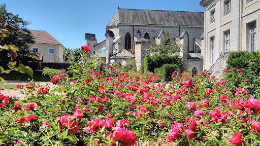 Municipal Library De Belley - Thumbnail