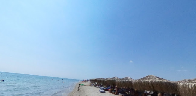 Σχόλια και κριτικές για το La Roca Beach