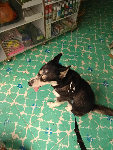La Vete Cliníca & SPA Veterinarios - Thumbnail