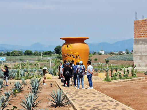 Rancho Tequila Convivencia - Thumbnail