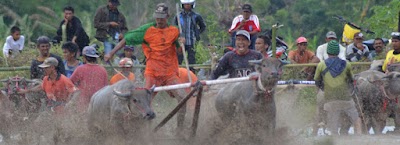 Photos of Disporabudpar Kab. Sumbawa