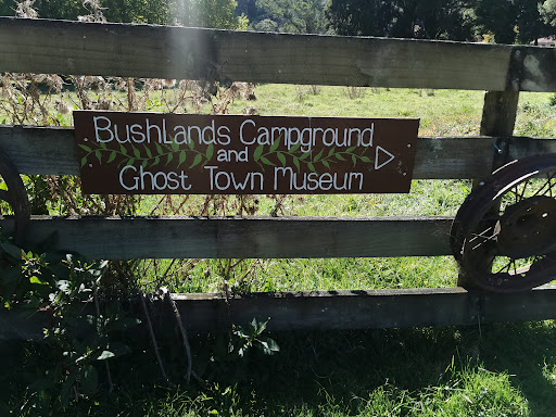 Bushland camp ground - Thumbnail