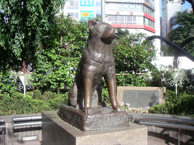 Hachikō