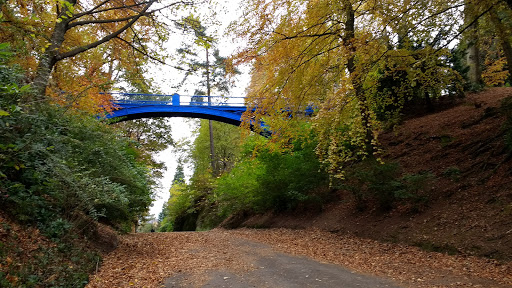 Balgay Park - Thumbnail