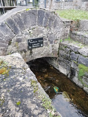 Madeira Mill Wheel, Author: Thomas Quinlan