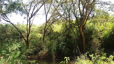 Photos of Kenya Wildlife Services Headquarters