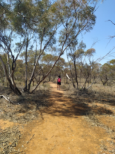 Mallee Stop walking track