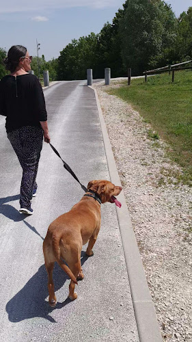 Comentarii opinii despre Fernando EDUCATEUR ‍🐶 Spécialiste en éducation et problèmes de comportement depuis 17 ans 👨‍🏫