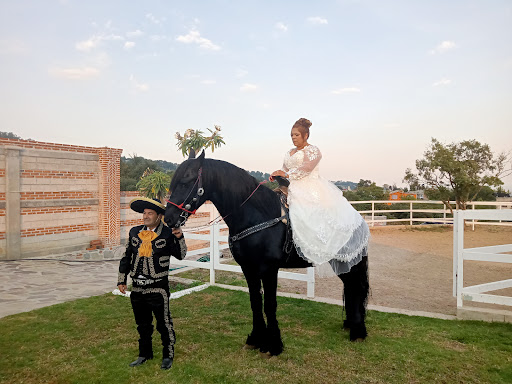 Rancho el Angel - Thumbnail