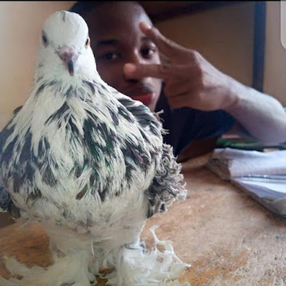 Genius farms ️ ️