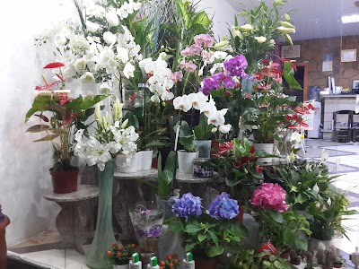Photos of &Ccedil;INAR &Ccedil;I&Ccedil;EK