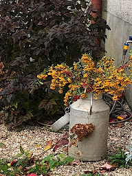 Photo n°19 de La Demeure d'Agapanthe à Vinay (Chambre d'hôtes)