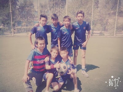 Photos of Futbol'nyy Gazon (Iskustvennyy)