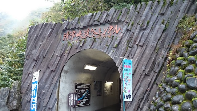 Kiyotsu Gorge