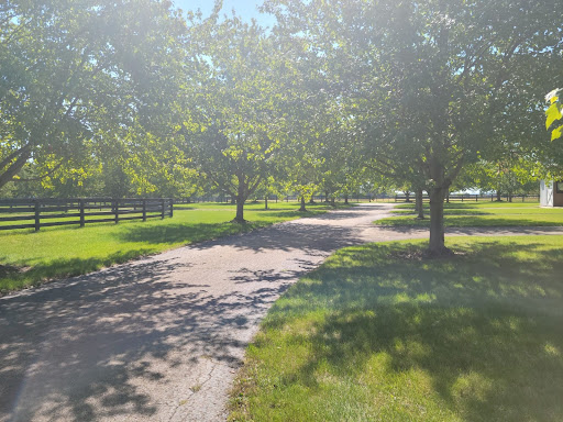 Pringle Stables - Visual