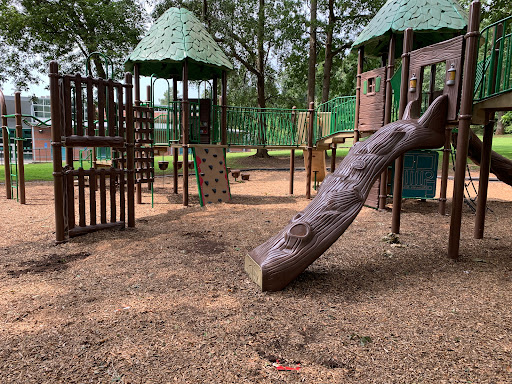 Rex Park - Visual