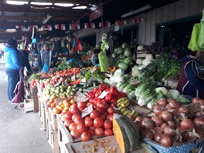 grocery-or-supermarket