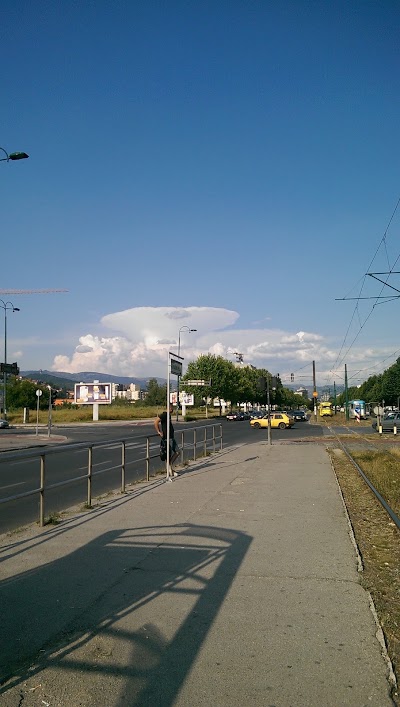 Photos of Alipa&scaron;ino polje A