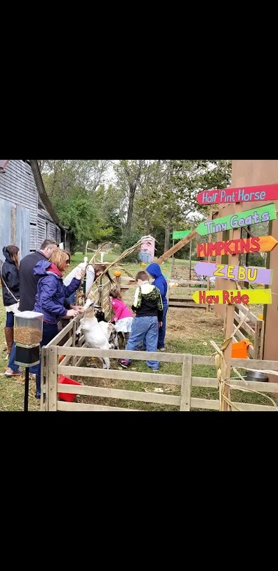 Drake Ridge Farms U-Pick Pumpkin Patch & Mini Petting Zoo