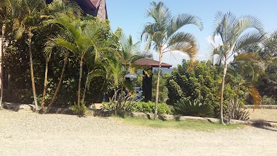 Photos of The Village