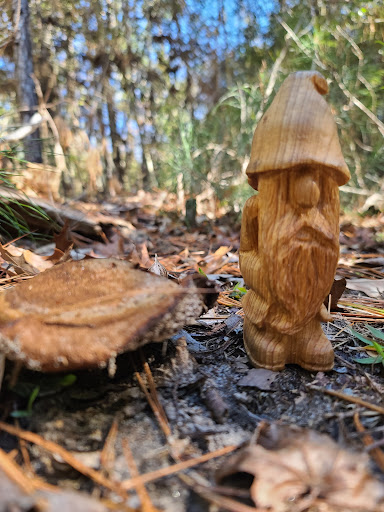 Turkey Creek Trail South Parking Lot - Thumbnail