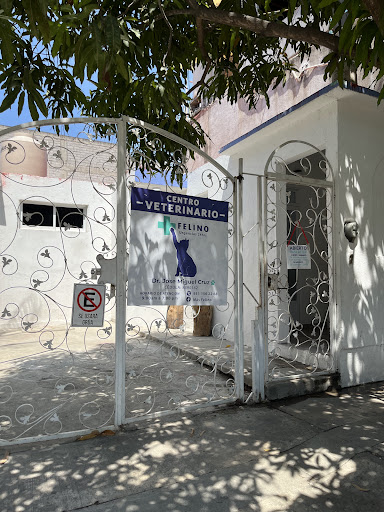 Centro Veterinario Más Felino - Huatulco
