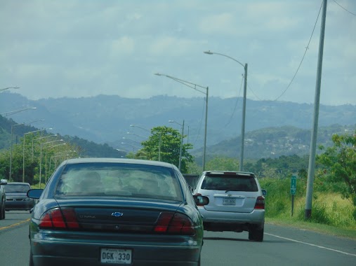 Gasolinera American, Author: Elizabeth Ortiz