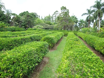 Botanical World Adventures