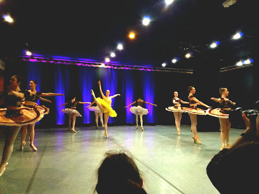 Roanoke Ballet Theatre Inc - Thumbnail