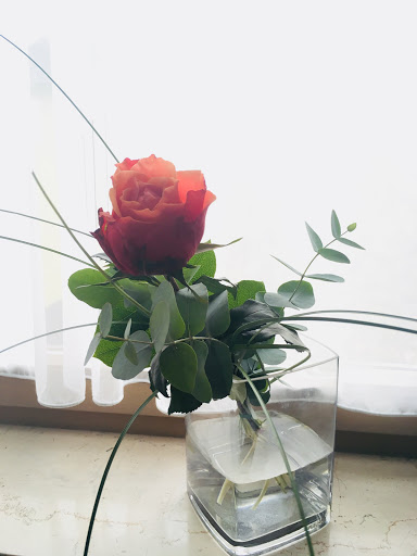 Blumen-Specht - Visual