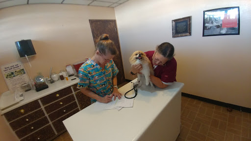 Ark Animal Hospital & Clinic (CALM VETERINARY PRACTICE)) - Thumbnail