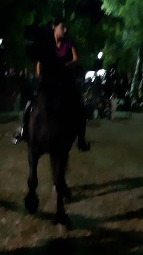 Σχόλια και κριτικές για το Άλσος Θεόγνιδος Μεγάρων (Πευκάκια)