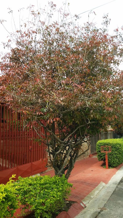 Photos of La Trinidad Park