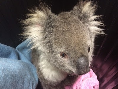 Photos of Eureka Veterinary Hospital (Ballarat)