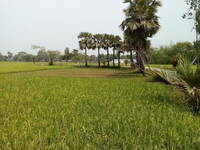 Photos of Tilakpur Railway Station