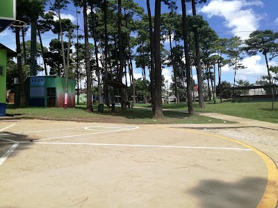 Photos of los pinos Park
