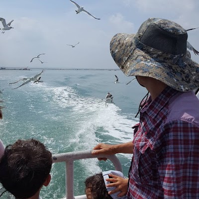 Photos of 난지도해수욕장