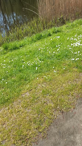 http://www.kasteelvanrumbeke.be/