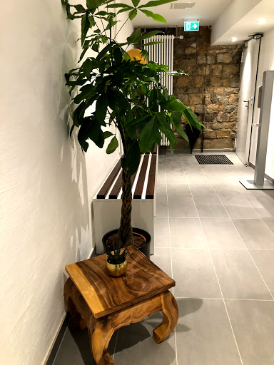 B7 Studio - Visual