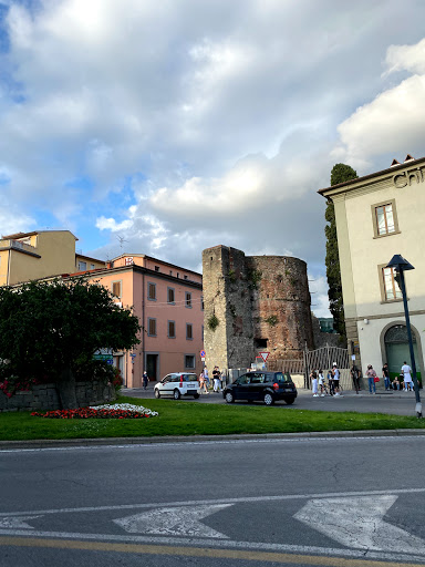 P. Treviso, 1
