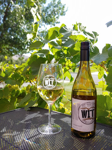 WIT Cellars - Visual