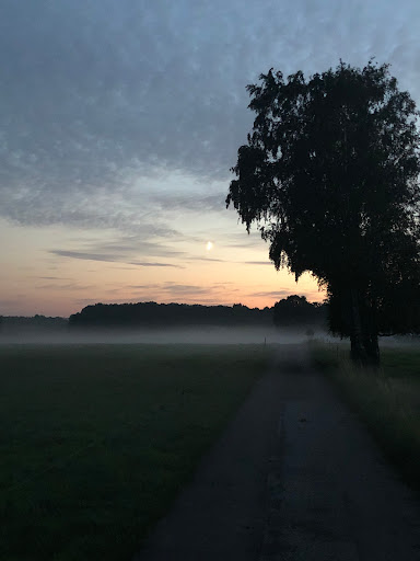 Airbnb gäststuga Fjärilen - Thumbnail